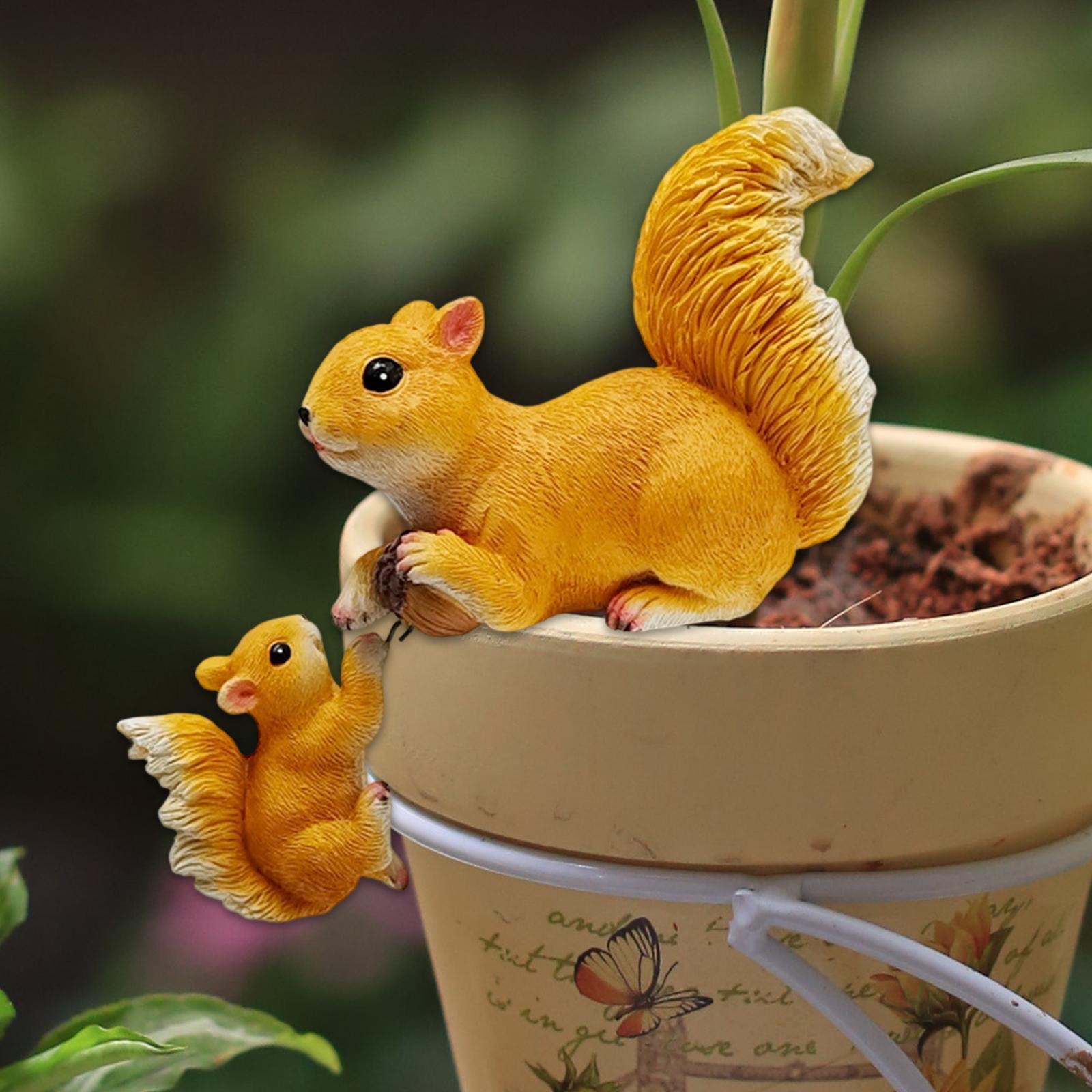 Garden Squirrel Ornament Resin - огляд і ціна Bonsai Garden Art