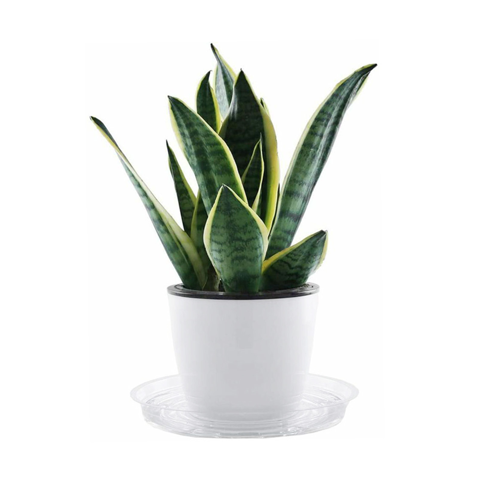 10pc Garden Plant Saucer Drip  - огляд і ціна Drip Tray Saucer